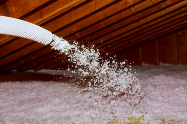 Best DIY Insulation Kits and Guidance in Greenfield, IN
